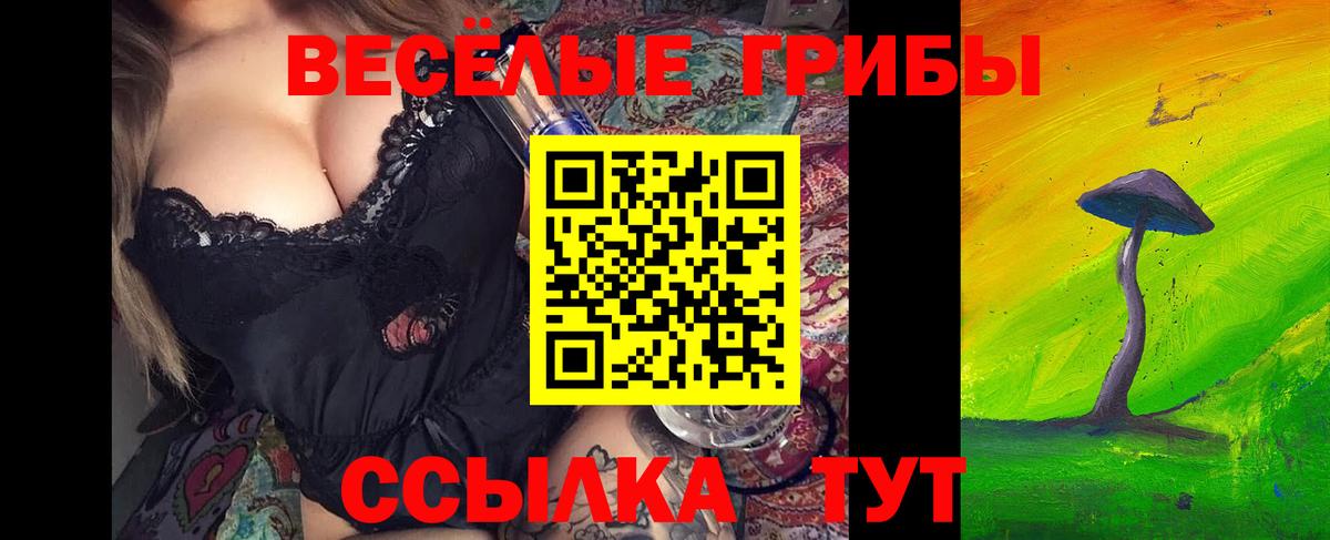 Ишимбай  как найти   Галлюциногенные грибы MAGIC MUSHROOMS  Вход с VPN  Галлюциногенные грибы Magic Shrooms 